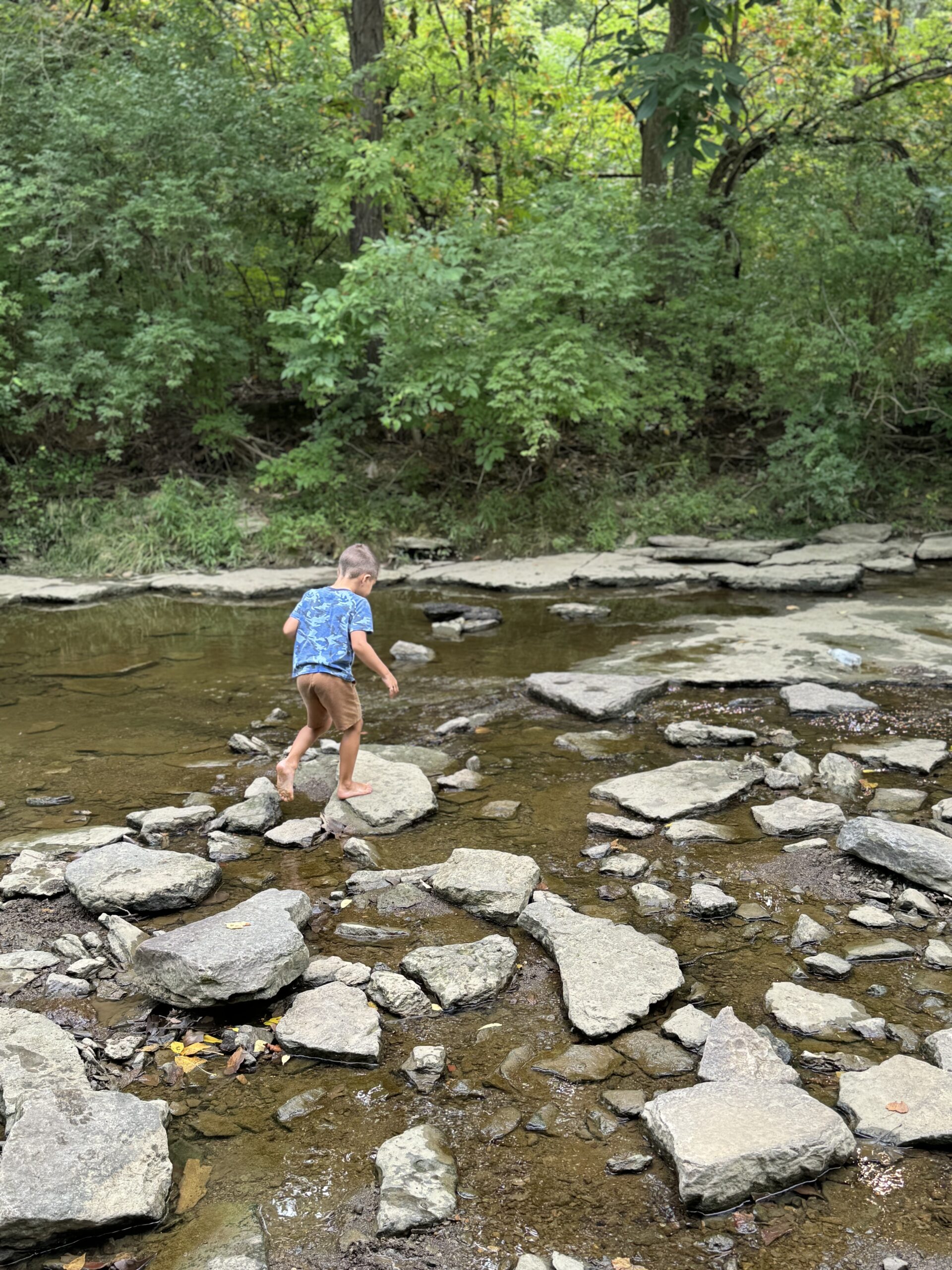 Unschooled Children don't need us to choose their learning